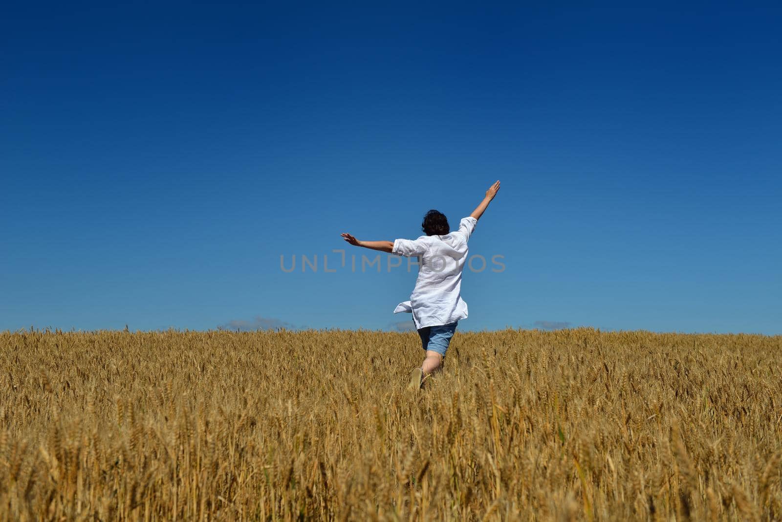 young woman in wheat field at summer by dotshock