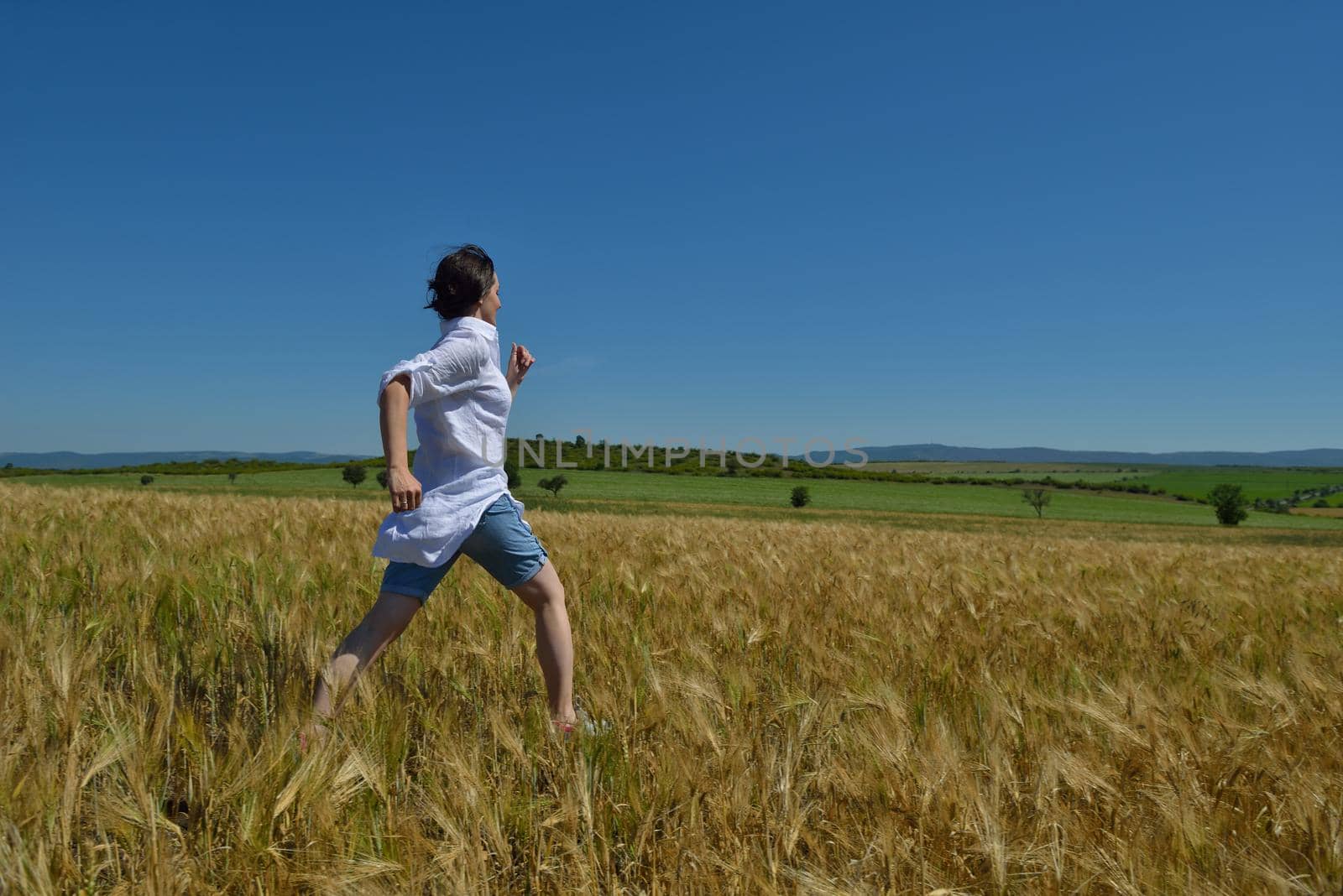 Young woman standing jumping and running  on a wheat field with blue sky the background at summer day representing healthy life and agriculture concept