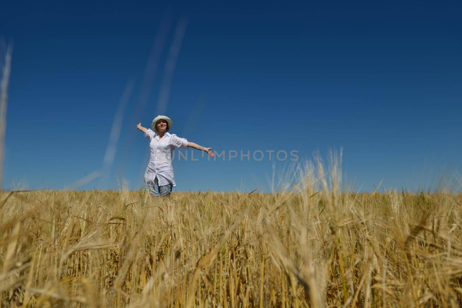 young woman in wheat field at summer by dotshock