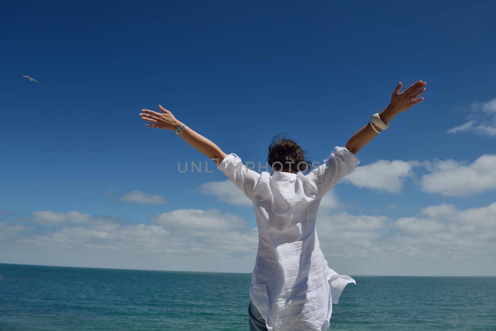 Happy  young woman with spreading arms, blue sky with clouds in background  - copyspace