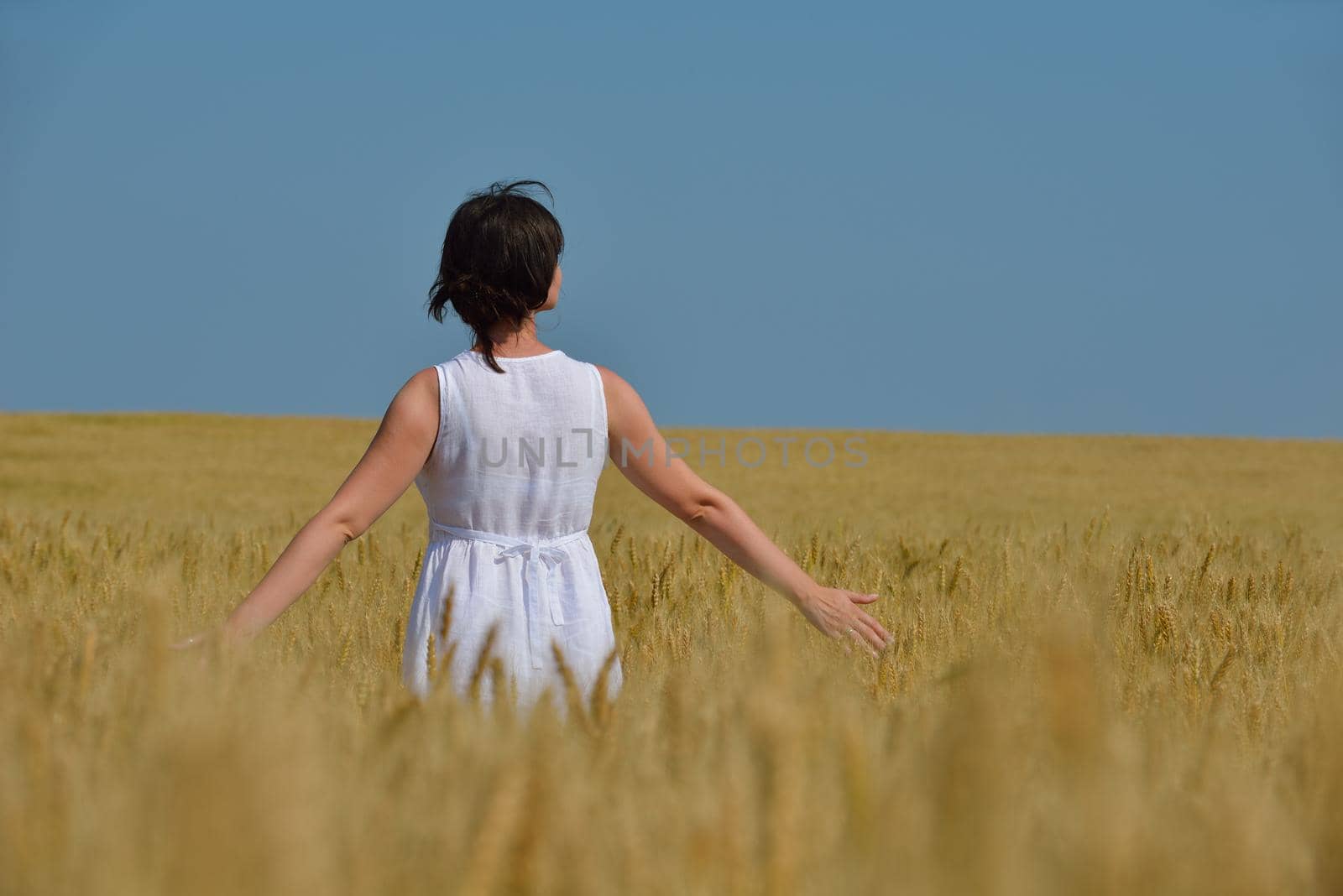 young woman in wheat field at summer by dotshock