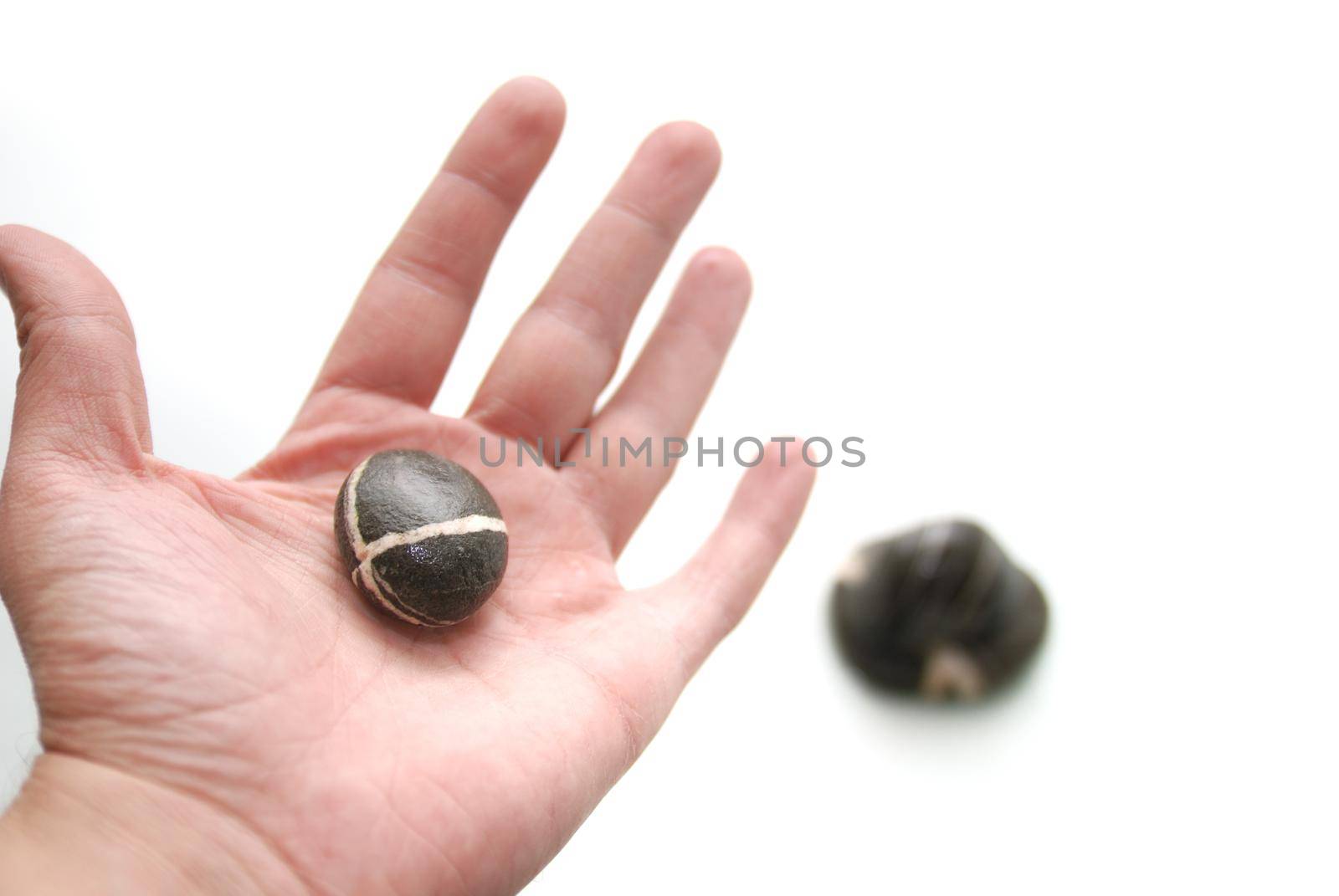 .zen stones in palm  by dotshock
