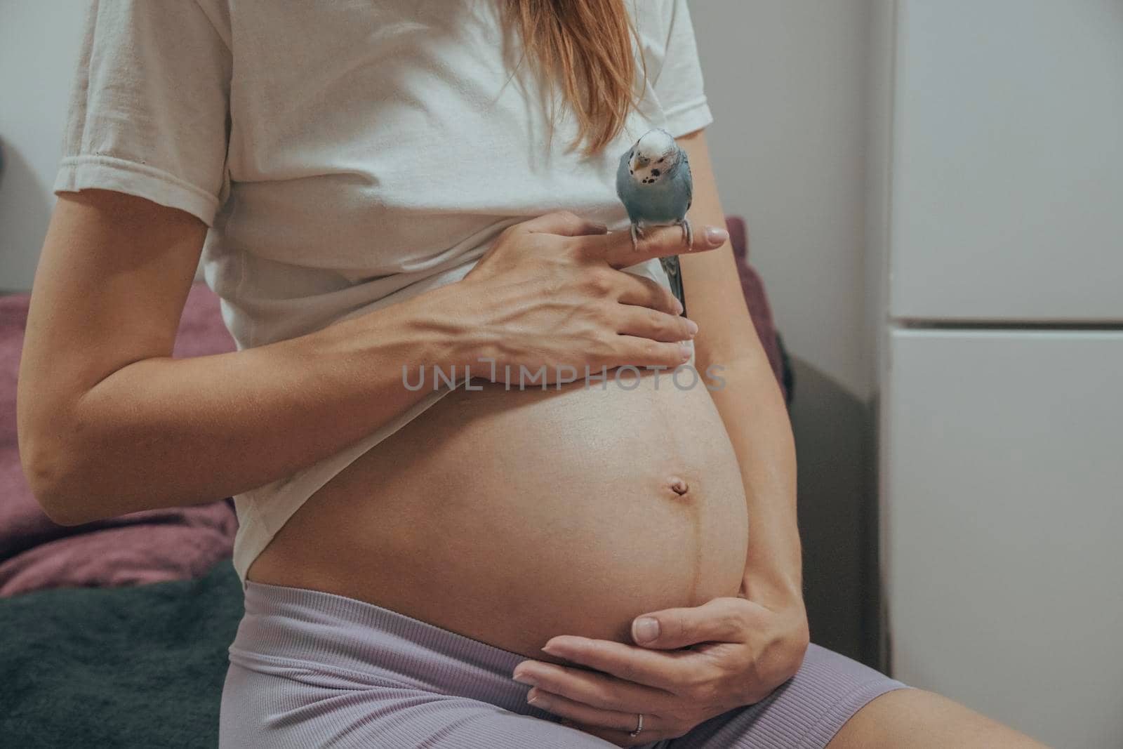 Pregnant caucasian woman sitting with parrot on a finger.