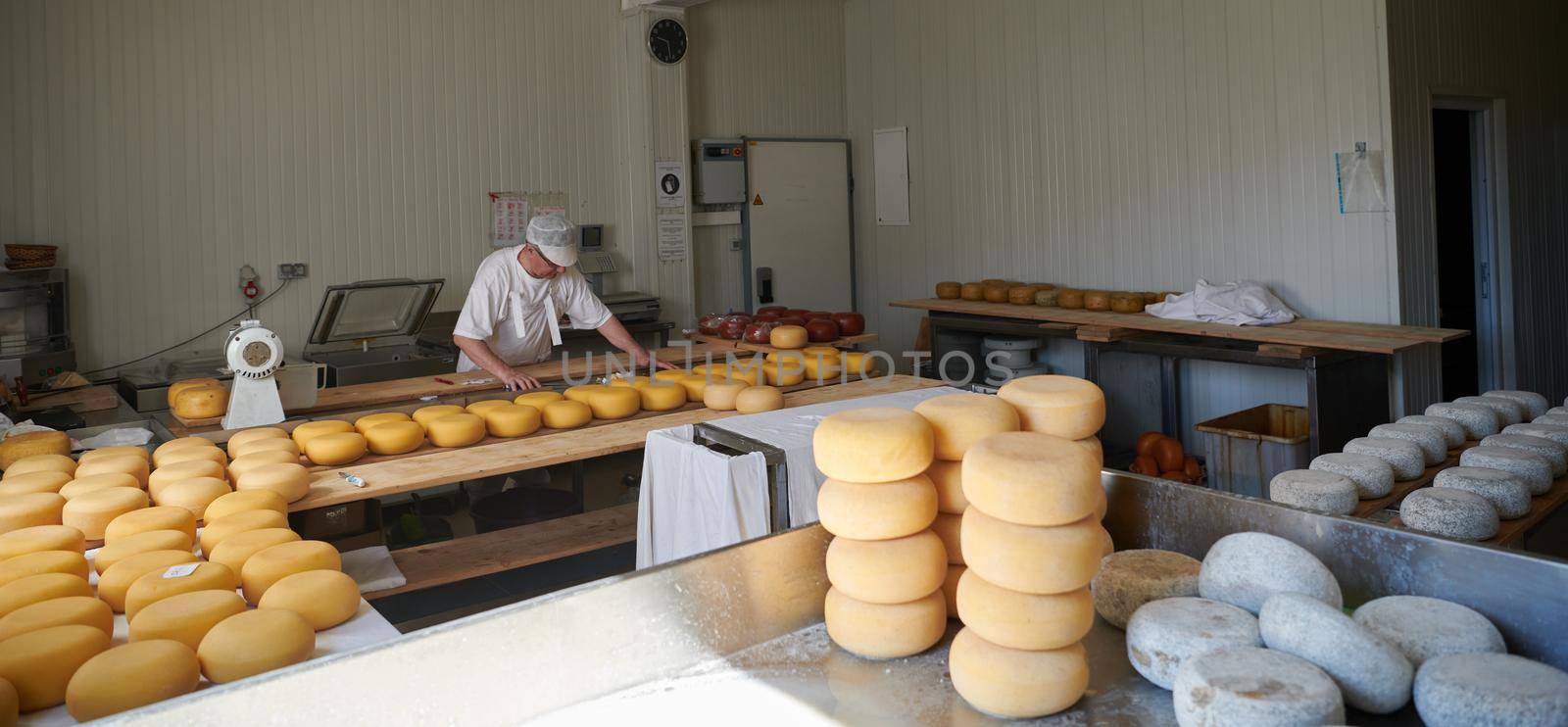 Cheese maker preparing  goat and cow  cheese wheels during the aging process in local food production factory