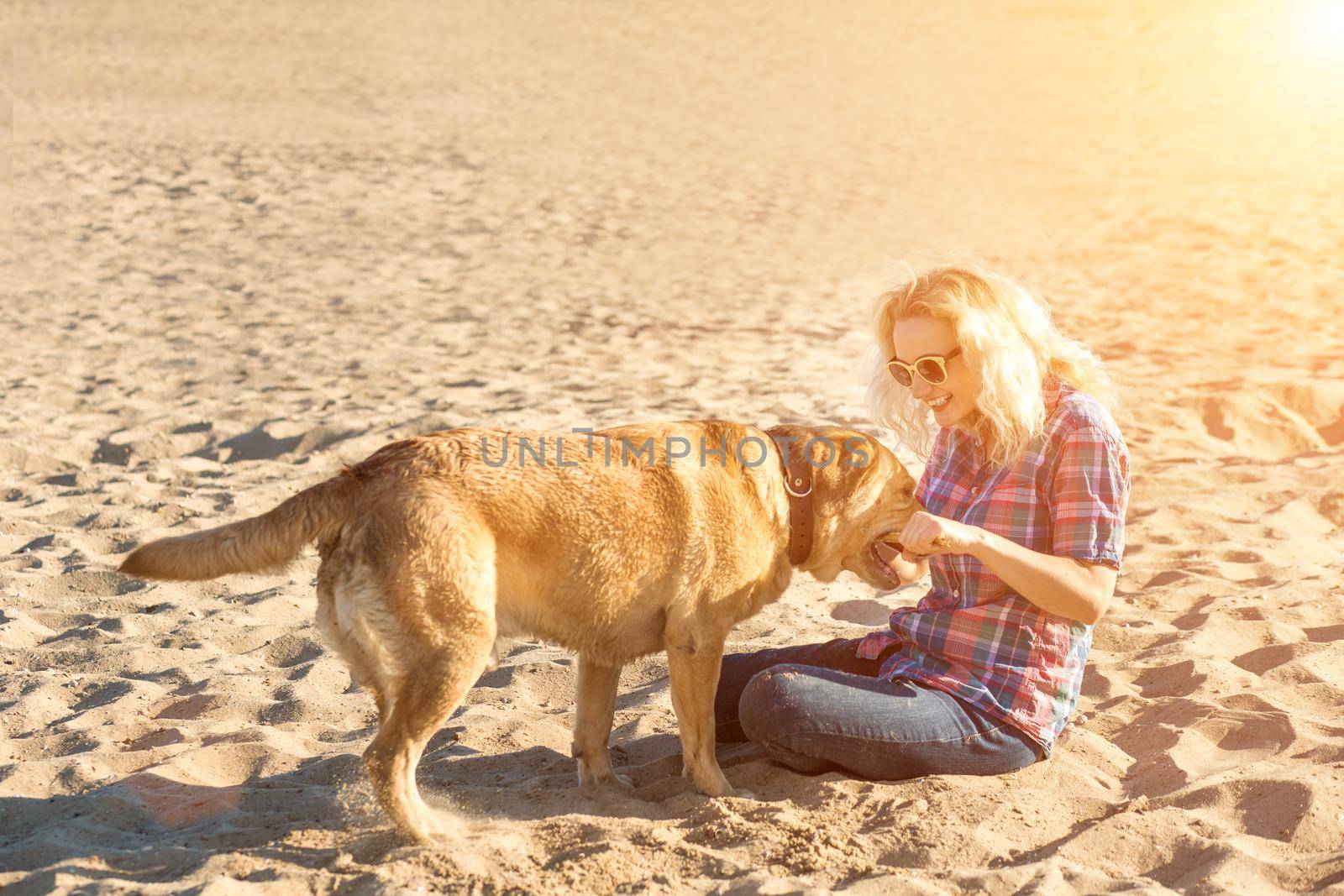 Portrait of young beautiful woman in sunglasses sitting on sand beach with golden retriever dog. Girl with dog by sea. Happiness and friendship. Pet and woman. Woman playing with dog on sea shore. Sun flare