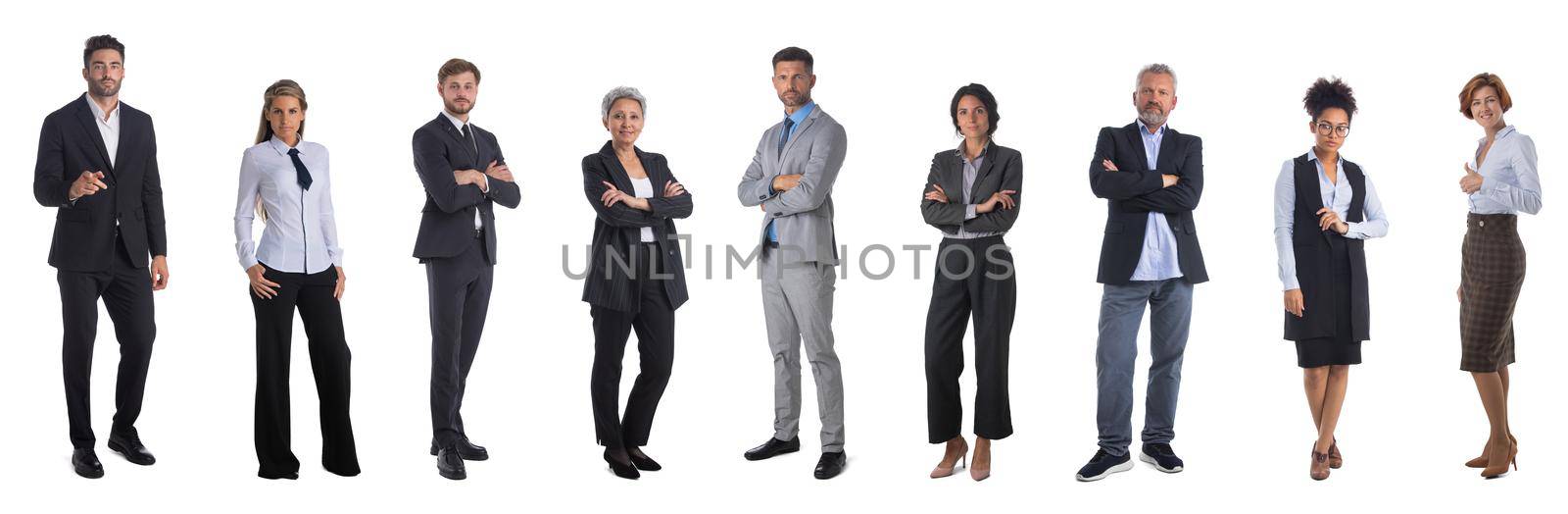 Successful business team design element. Full length portrait group of confident business people ,design element, isolated on white background