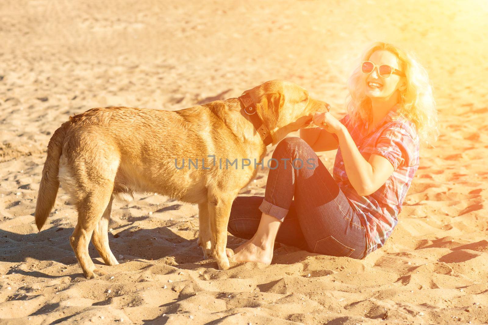 Portrait of young beautiful woman in sunglasses sitting on sand beach hugging golden retriever dog. Girl with dog by sea. Happiness and friendship. Pet and woman. woman playing with dog on sea shore. Sun flare