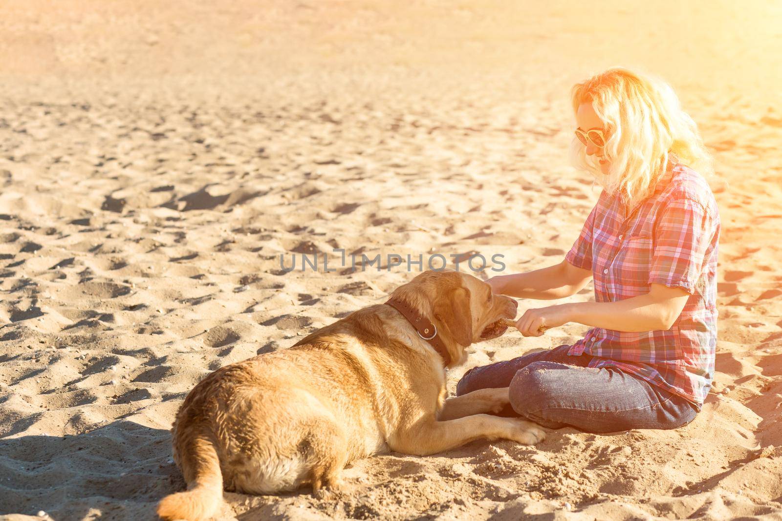 Portrait of young beautiful woman in sunglasses sitting on sand beach with golden retriever dog. Girl with dog by sea. Sun flare by nazarovsergey