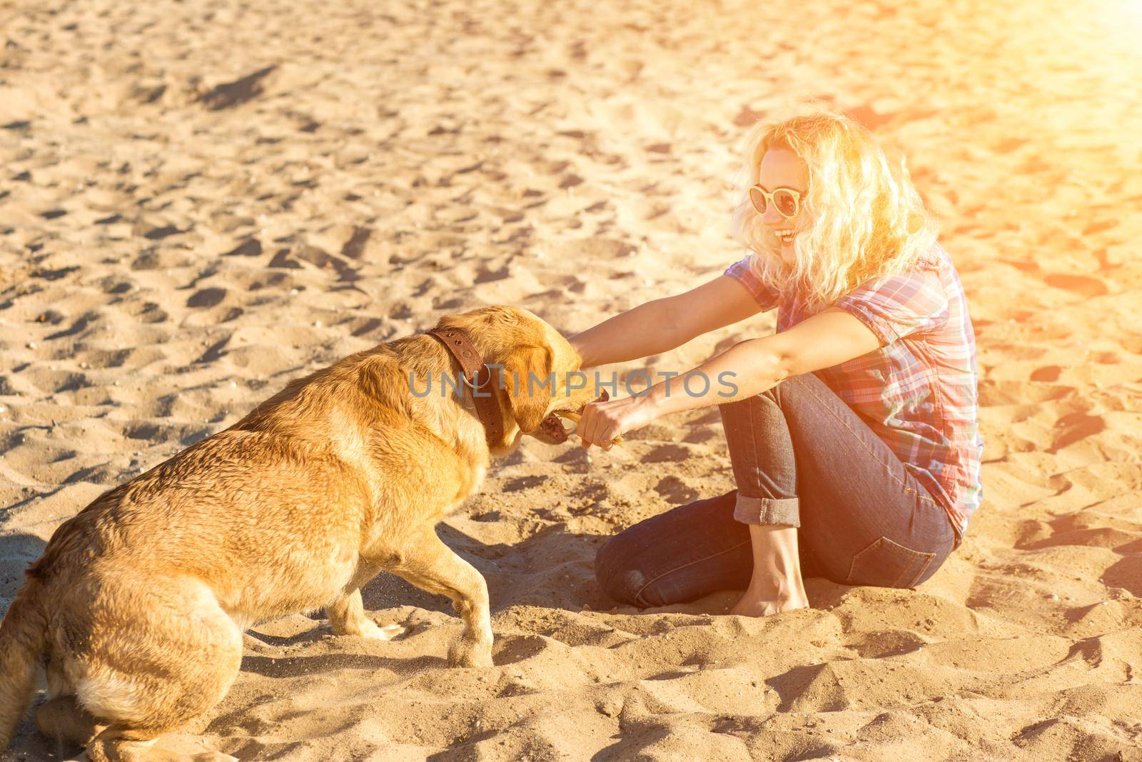 Portrait of young beautiful woman in sunglasses sitting on sand beach with golden retriever dog. Girl with dog by sea. Happiness and friendship. Pet and woman. Woman playing with dog on sea shore. Sun flare