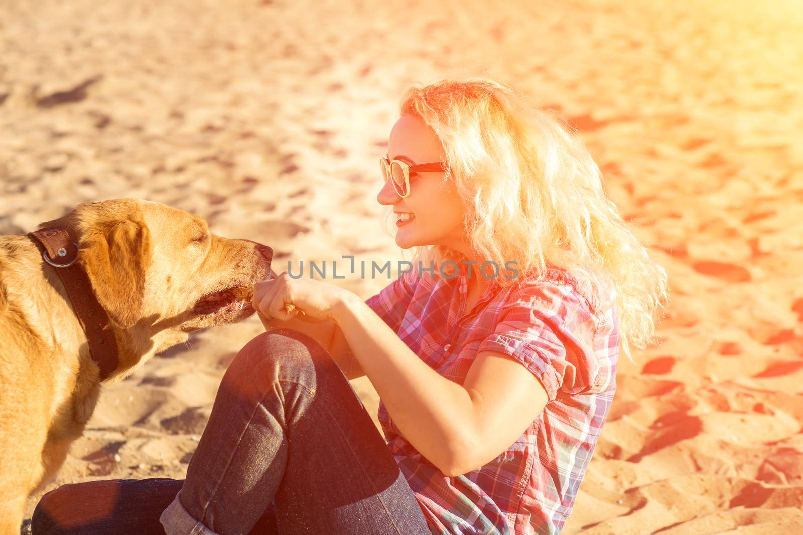 Portrait of young beautiful woman in sunglasses sitting on sand beach hugging golden retriever dog. Girl with dog by sea. Happiness and friendship. by nazarovsergey