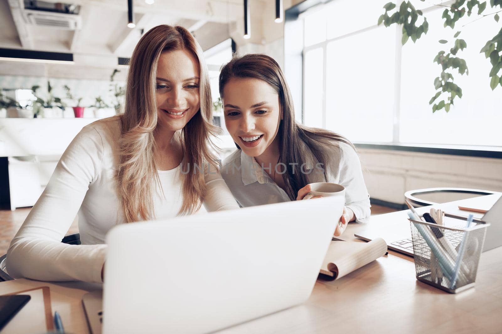 Two young female colleagues discussing business project together in modern office