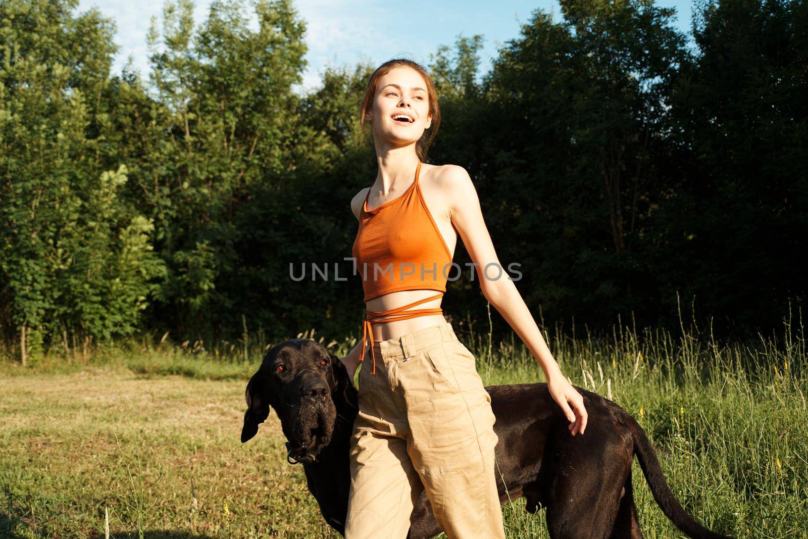 woman in the field in summer playing with a dog friendship. High quality photo
