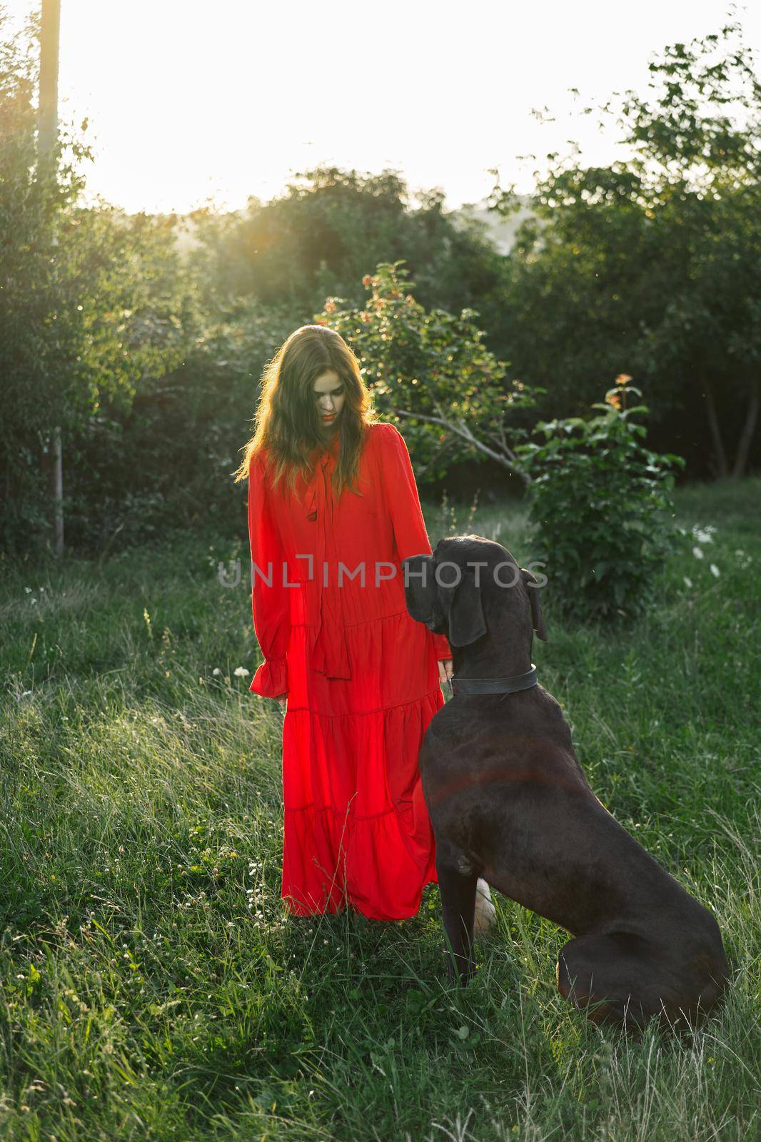 woman in a red dress in a field with a black dog Friendship fun by Vichizh