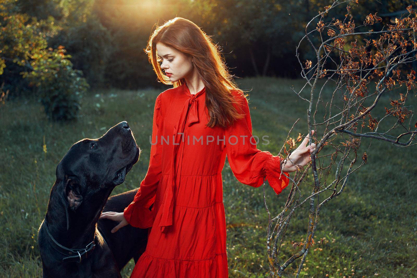 fashion attractive woman in black purebred dog outdoors. High quality photo