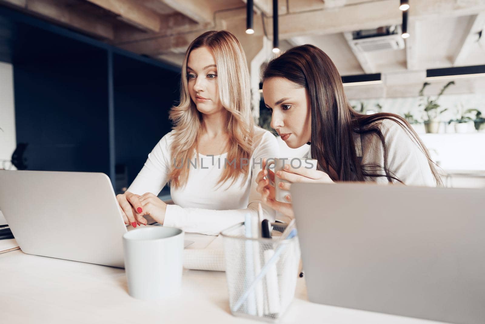 Two young female colleagues discussing business project together in modern office