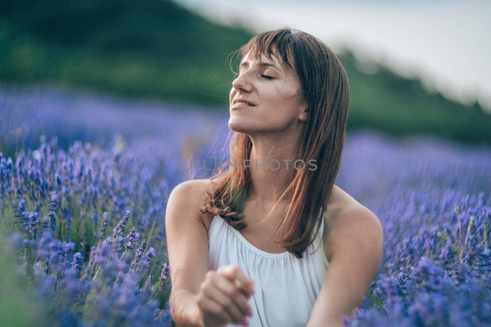 Lavender flower blooming scented fields in endless rows. Selective focus on Bushes of lavender purple aromatic flowers at lavender field. Abstract blur for background.