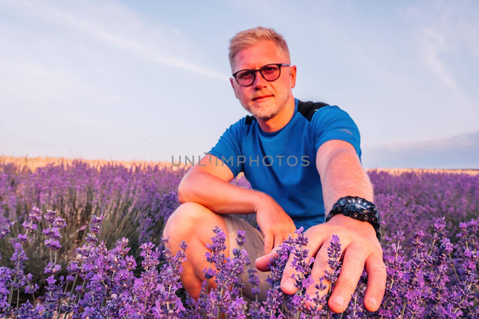 Lavender flower blooming scented fields in endless rows. Selective focus on Bushes of lavender purple aromatic flowers at lavender field. Abstract blur for background.