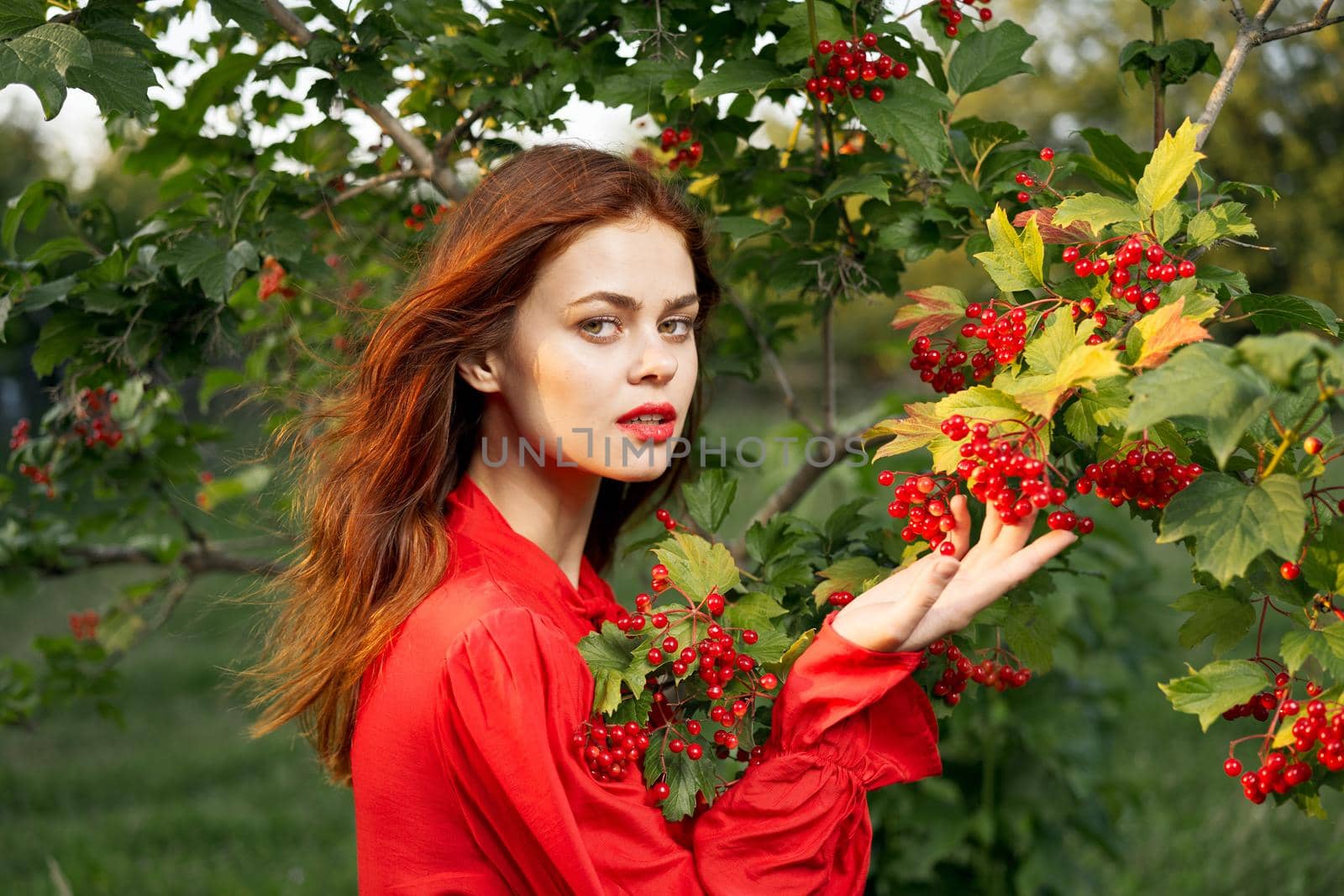 woman in red shirt near bush berries nature summer. High quality photo