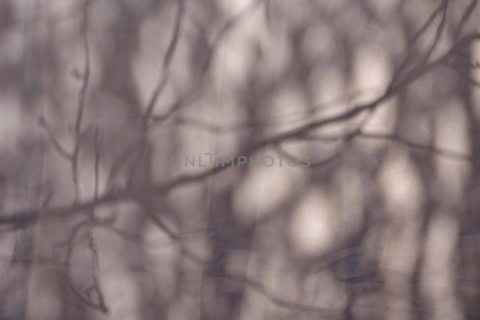 simple white abstract nature shadow background