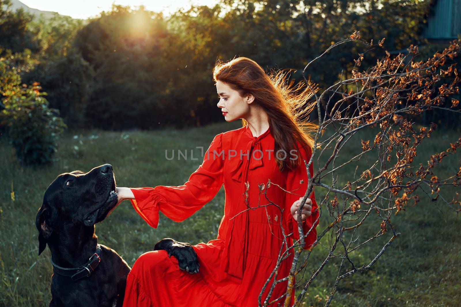 pretty woman in red dress with dog outdoors posing glamor by Vichizh
