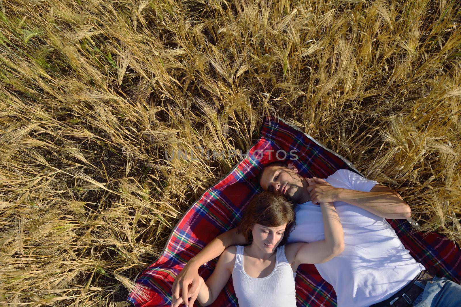 happy couple in wheat field by dotshock