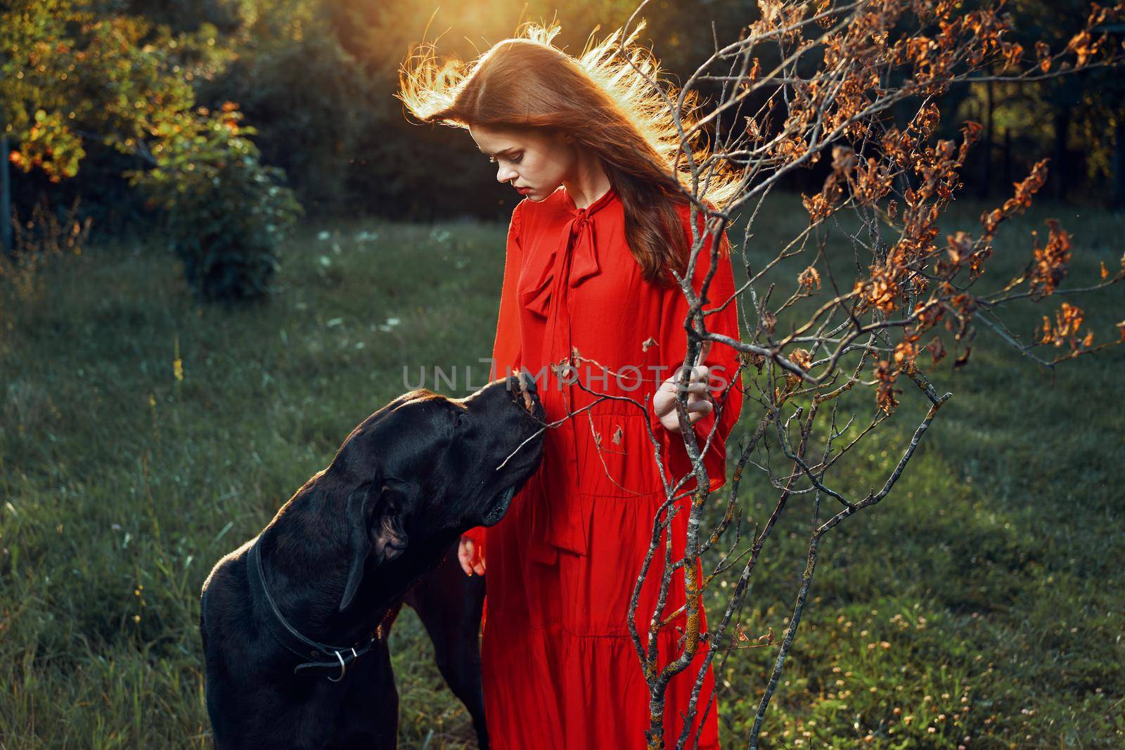 fashion attractive woman in black purebred dog outdoors. High quality photo