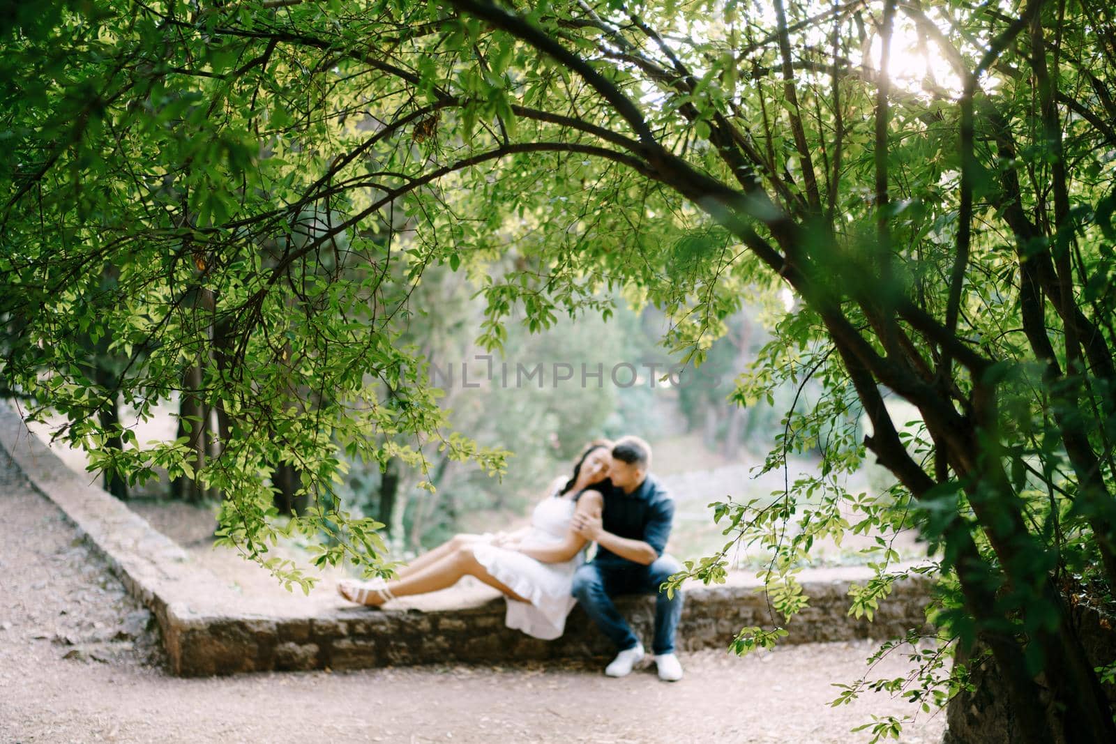 Man hugs woman while sitting on stone border in green park by Nadtochiy