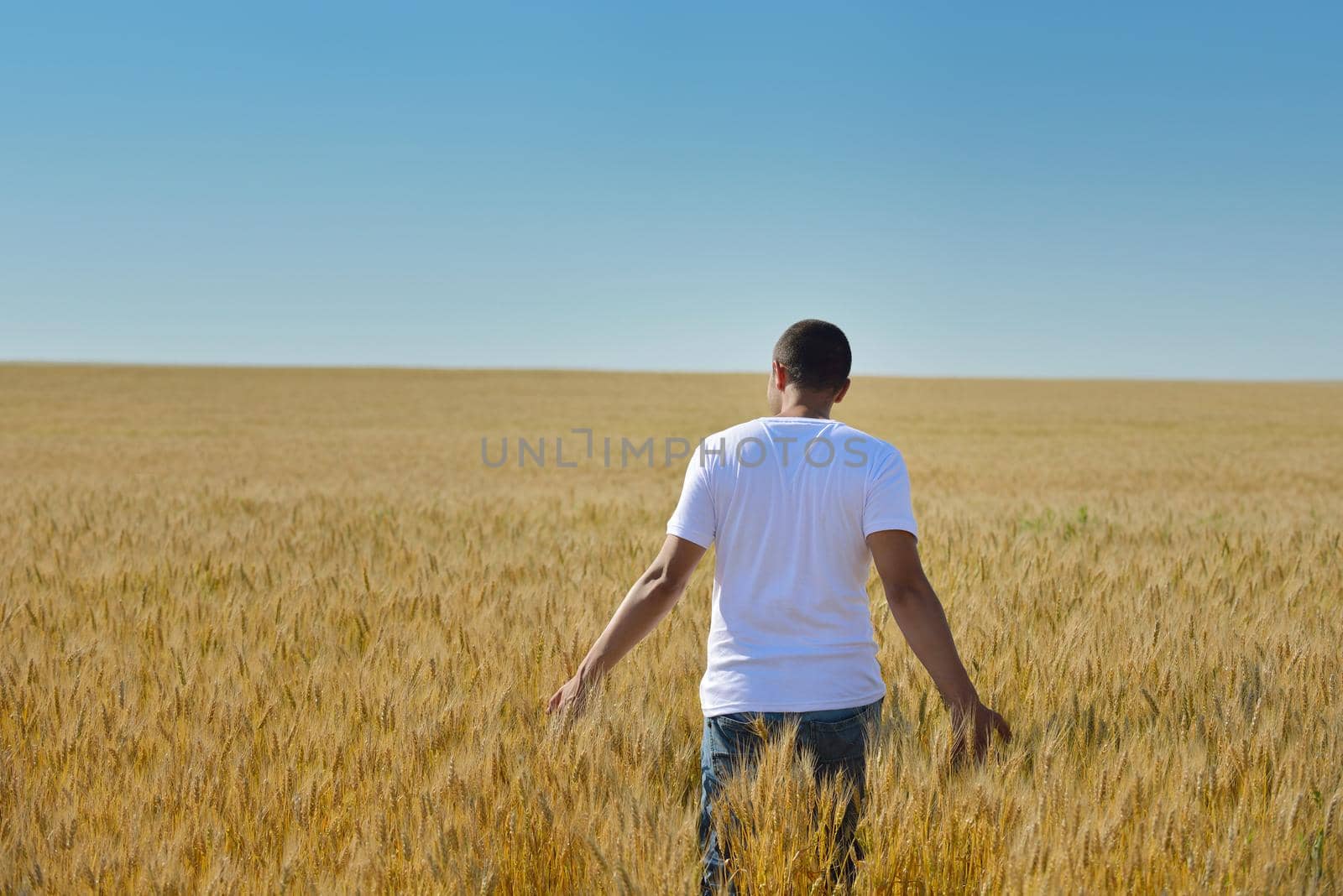 young man in wheat field representing success agriculture and freedom concept