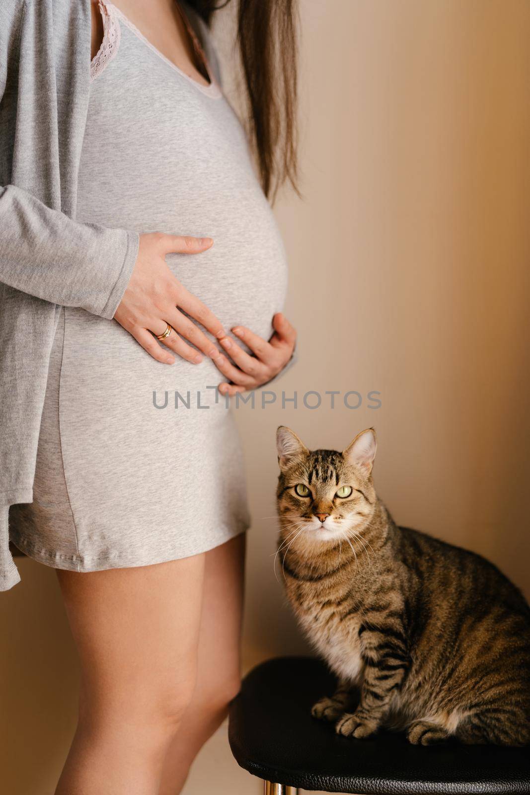 Tabby cat sits on a chair next to a pregnant woman by Nadtochiy