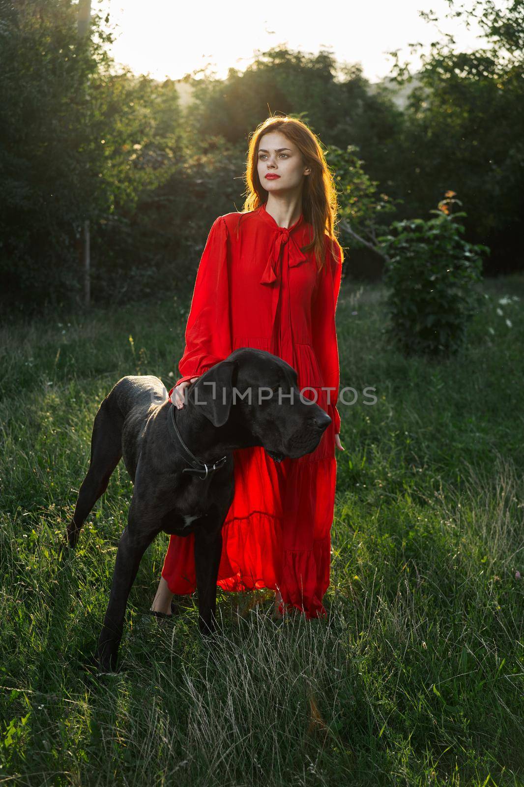 woman in a red dress in a field with a black dog Friendship fun. High quality photo