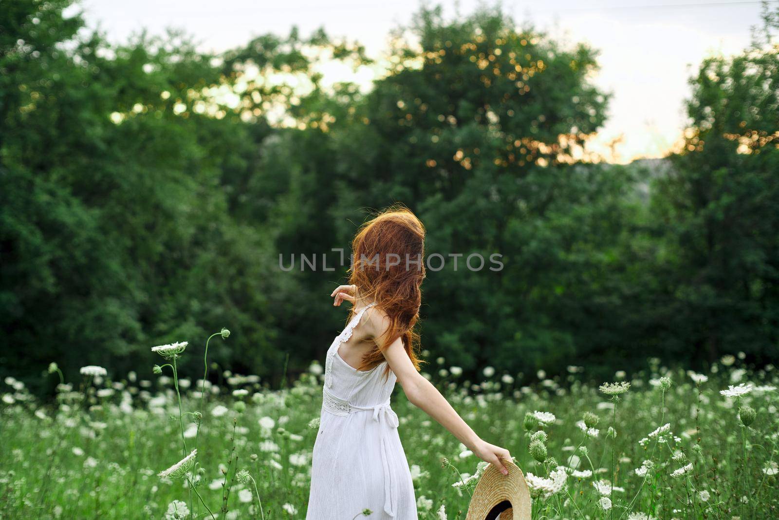 pretty woman in a field in nature white dress fresh air. High quality photo