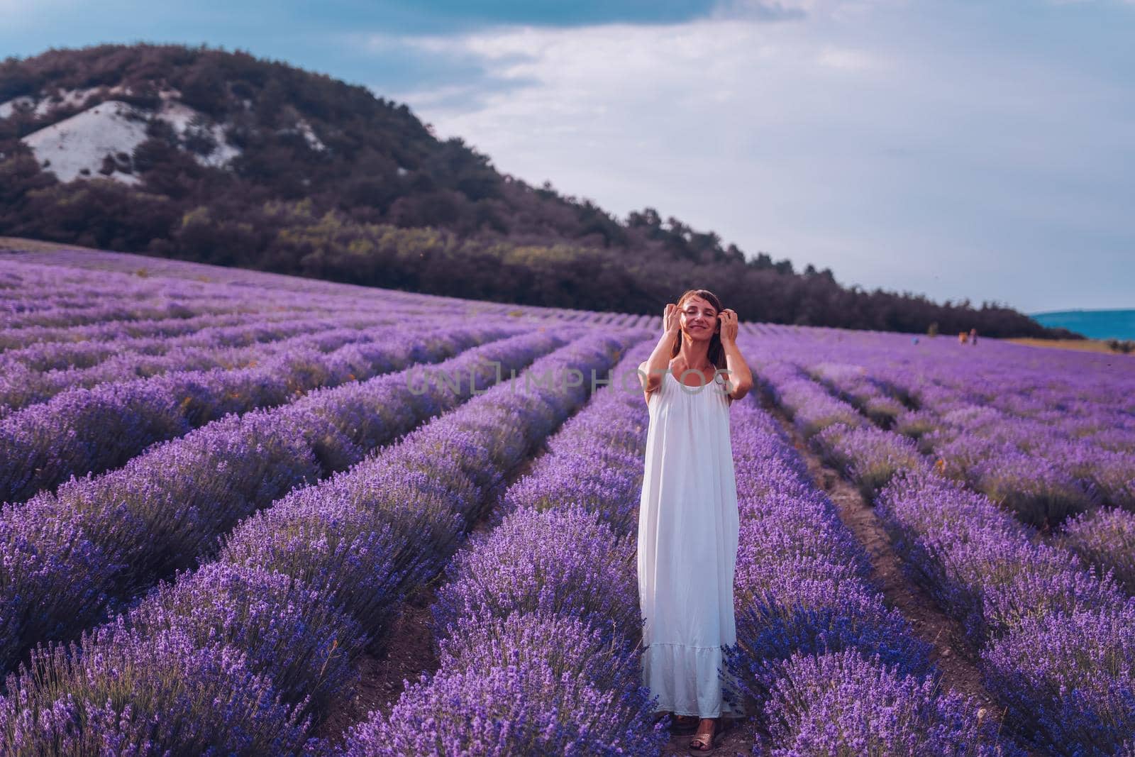 Lavender flower blooming scented fields in endless rows. Selective focus on Bushes of lavender purple aromatic flowers at lavender field. Abstract blur for background.