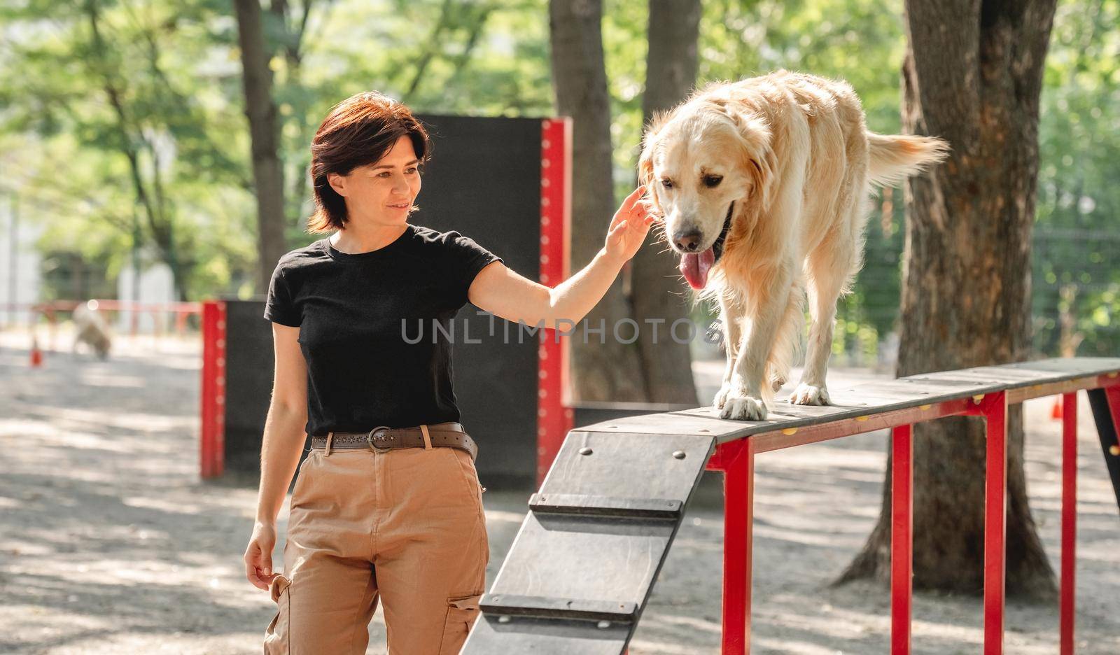 Girl training golden retriever dog outdoors. Young woman with doggy pet in the park together