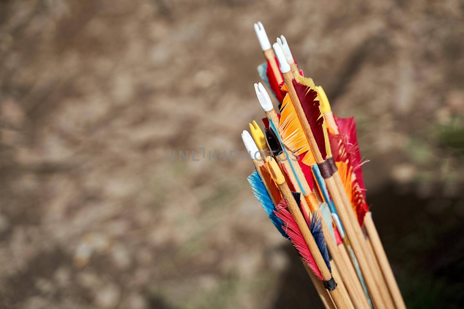 Colorful fletching of arrows. A fin-shaped aerodynamic stabilization.