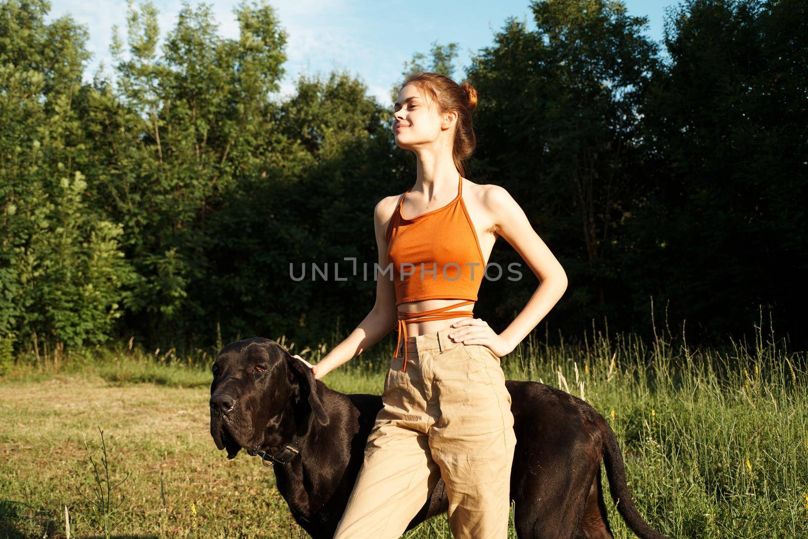 woman in the field in summer playing with a dog friendship. High quality photo