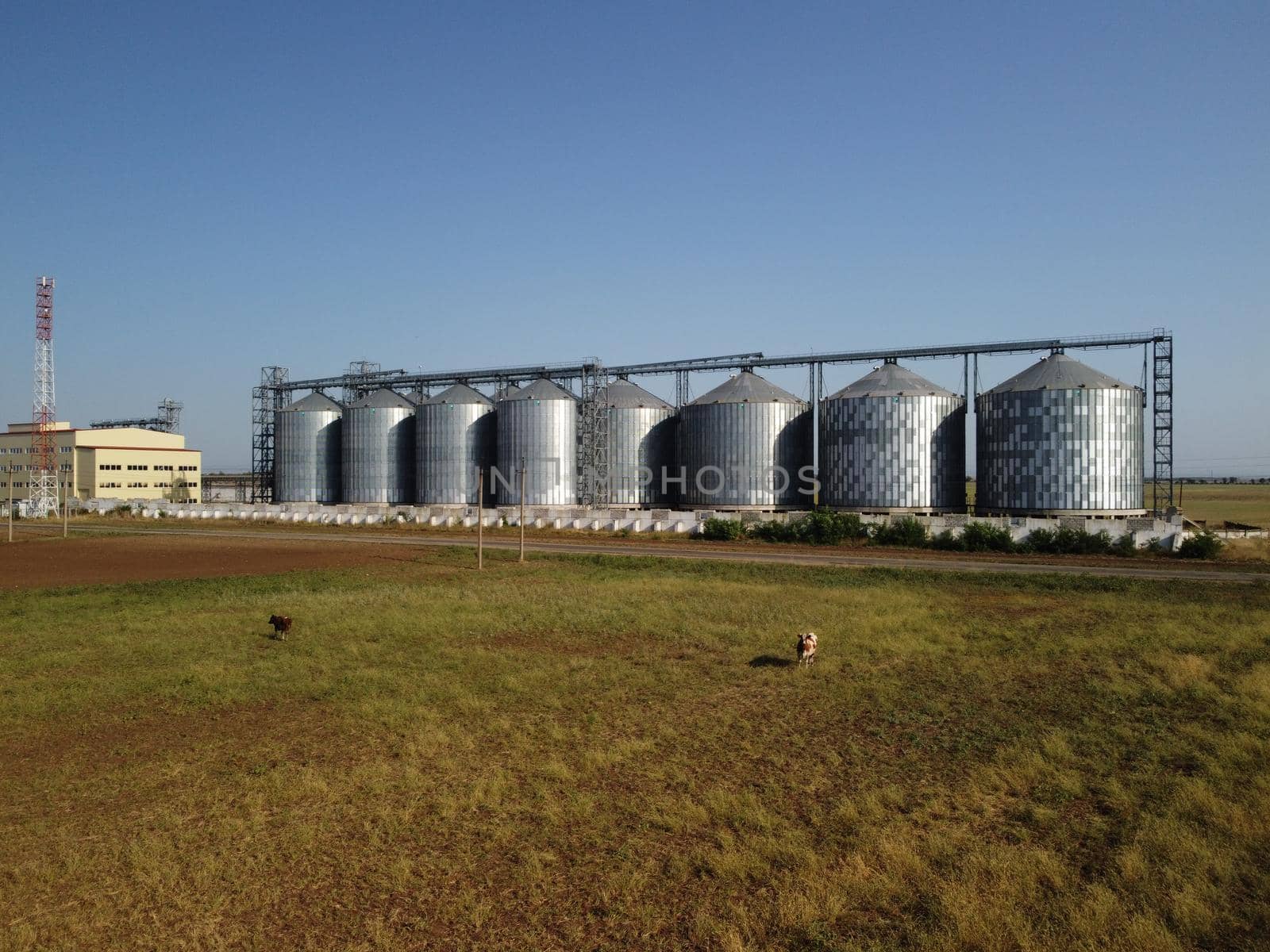 Grain elevator. Metal grain elevator in agricultural zone. Agriculture storage for harvest. Grain elevators on green nature background. Exterior of agricultural factory