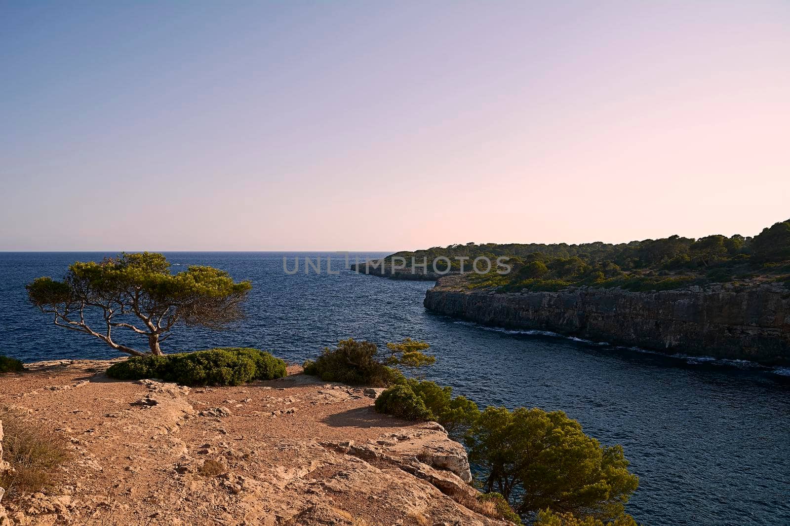 Coastal landscape between cliffs with vegetation. Cloudless sky. Balearic Islands. Mediterranean Sea