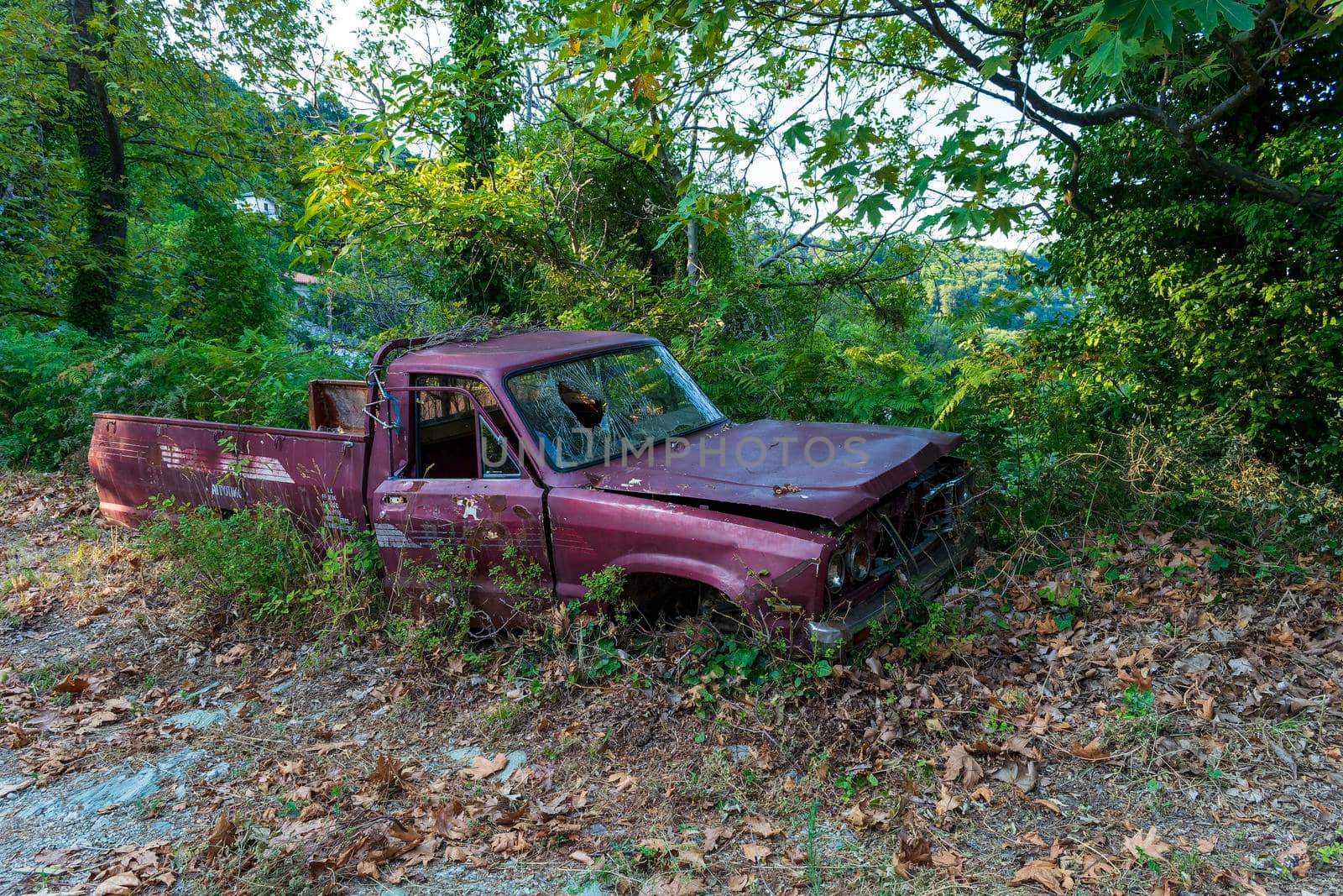 Old crashed car in the forest by ankarb