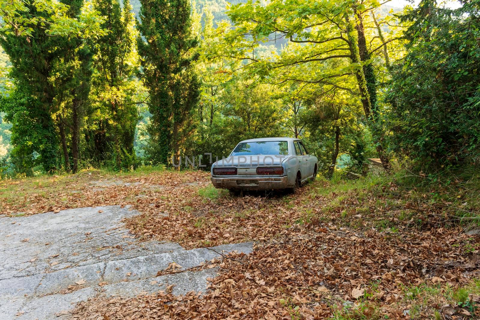 Pelion, Greece - August 13 2020: Old crashed car in the forest, Greece