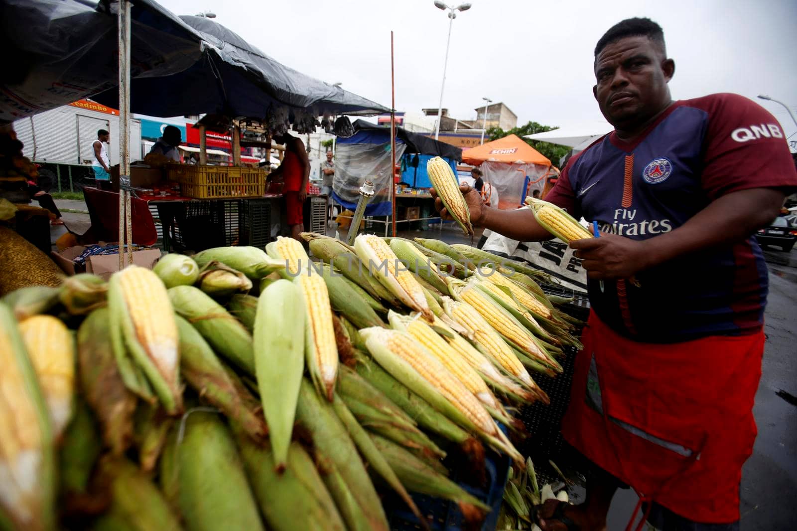 salvador, bahia, brazil - june 17, 2019: green corn for sale at the São Joaquim fair in the city of Salvador.