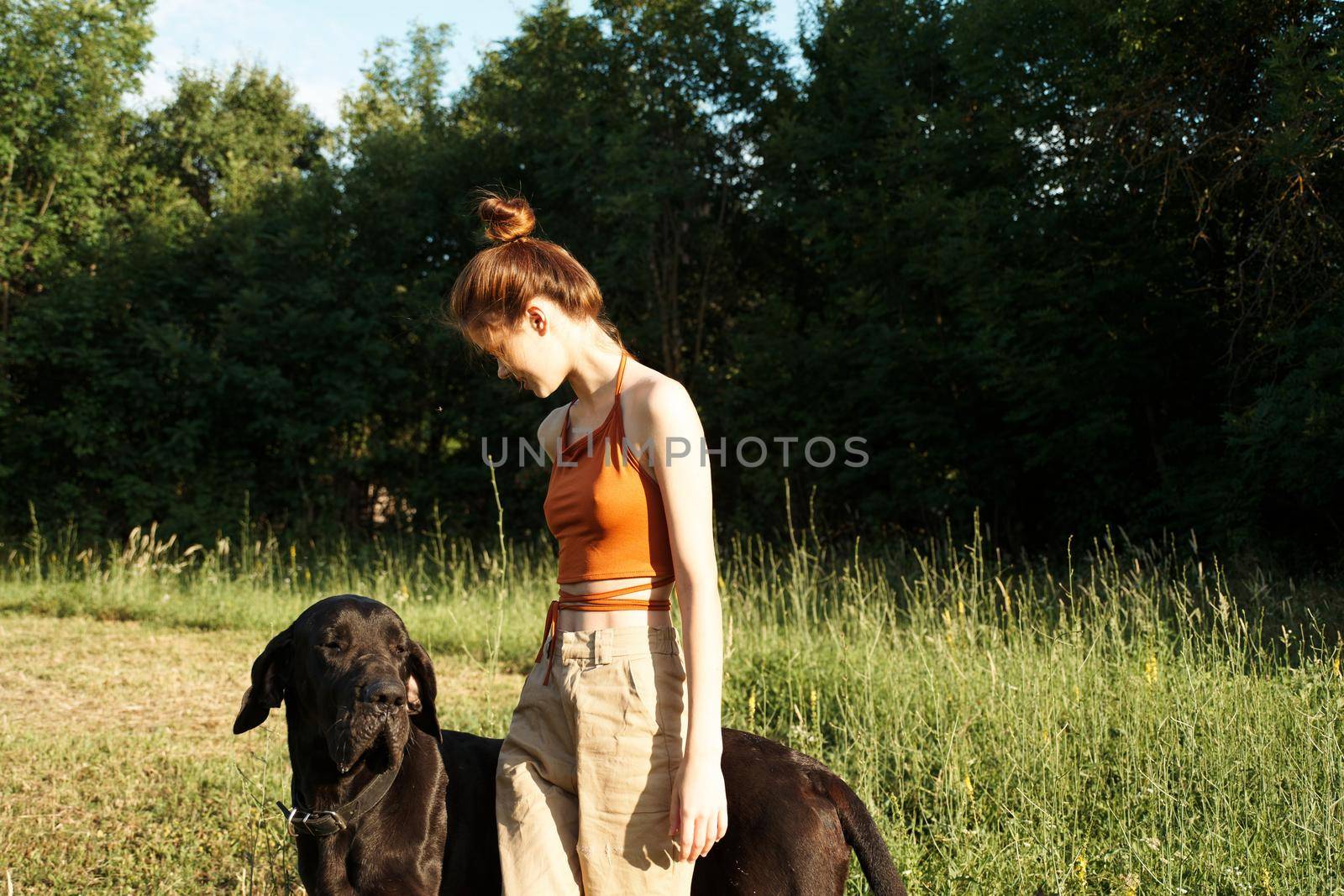 woman in the field in summer playing with a dog friendship. High quality photo