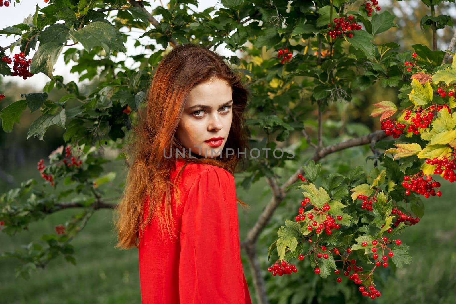 woman in red shirt near bush berries nature summer. High quality photo