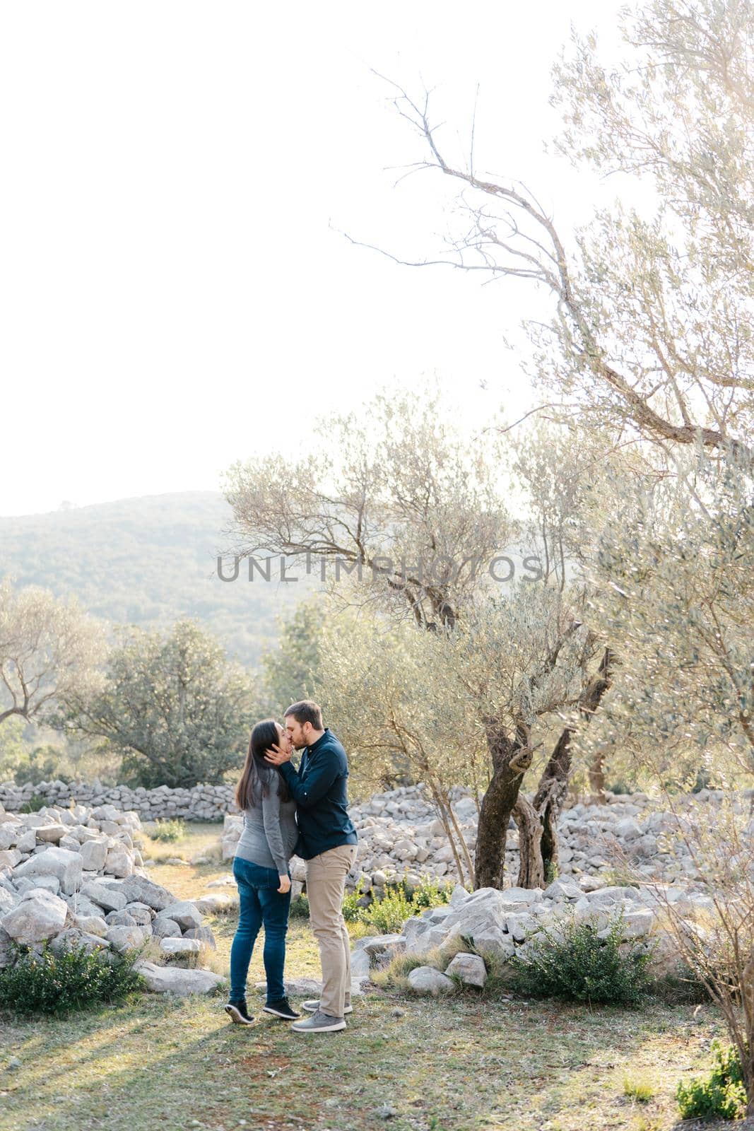 Man kissing a pregnant woman in the park. High quality photo