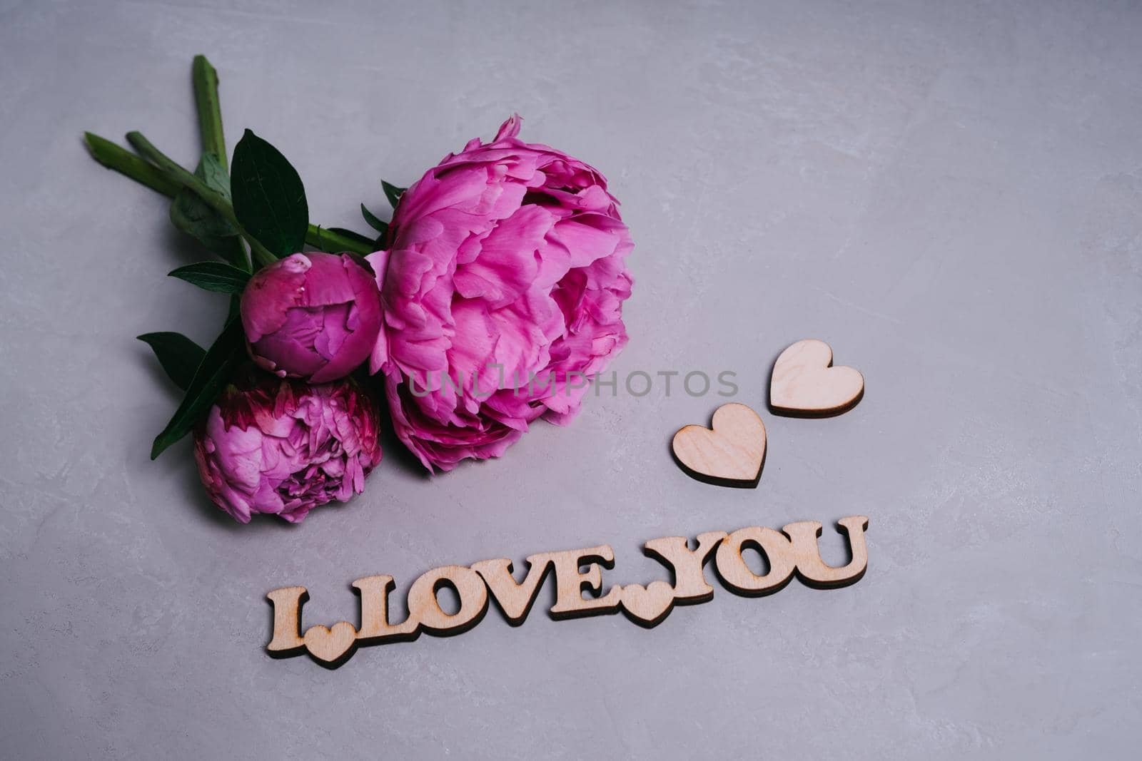 Pink garden peonies on a gray textured background. Wooden inscription I love you. Valentine's Day greeting card. Postcard declaration of love. Wooden decor.