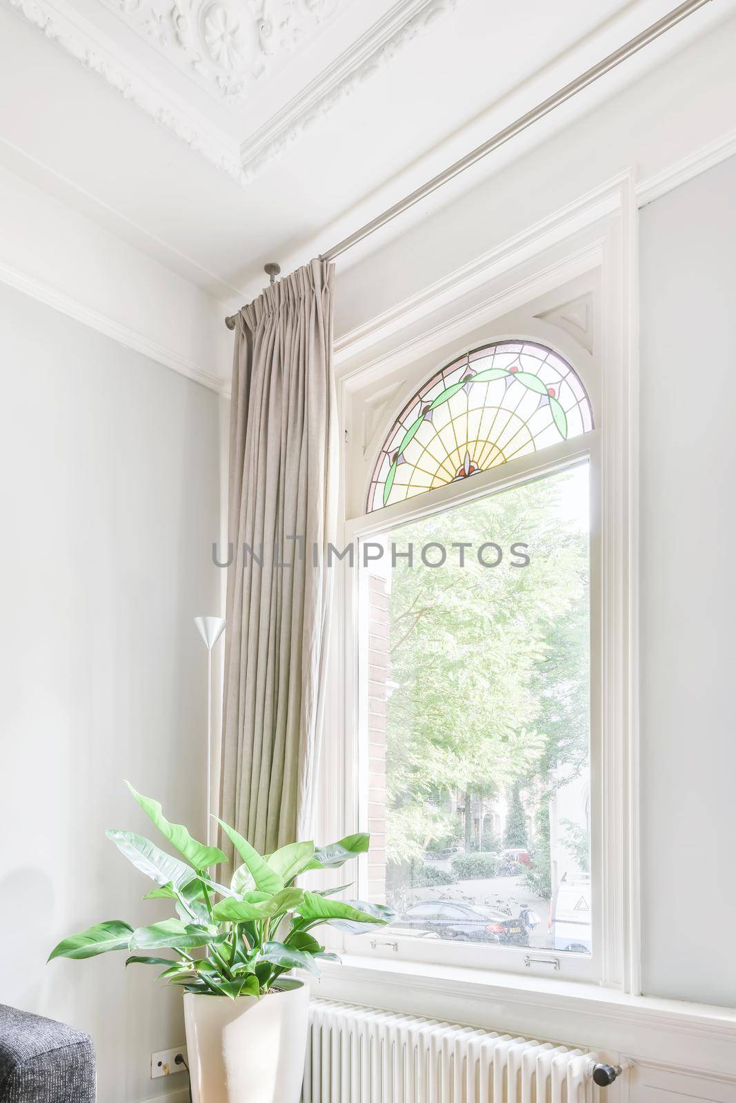 View of a beautiful window with a curtain and a flower nearby