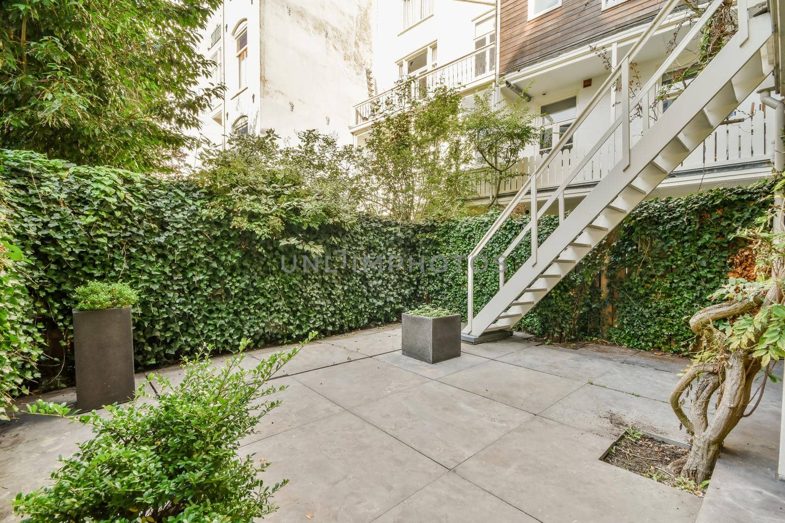 Delightfully beautiful courtyard with greenery and clearly laid cobblestones