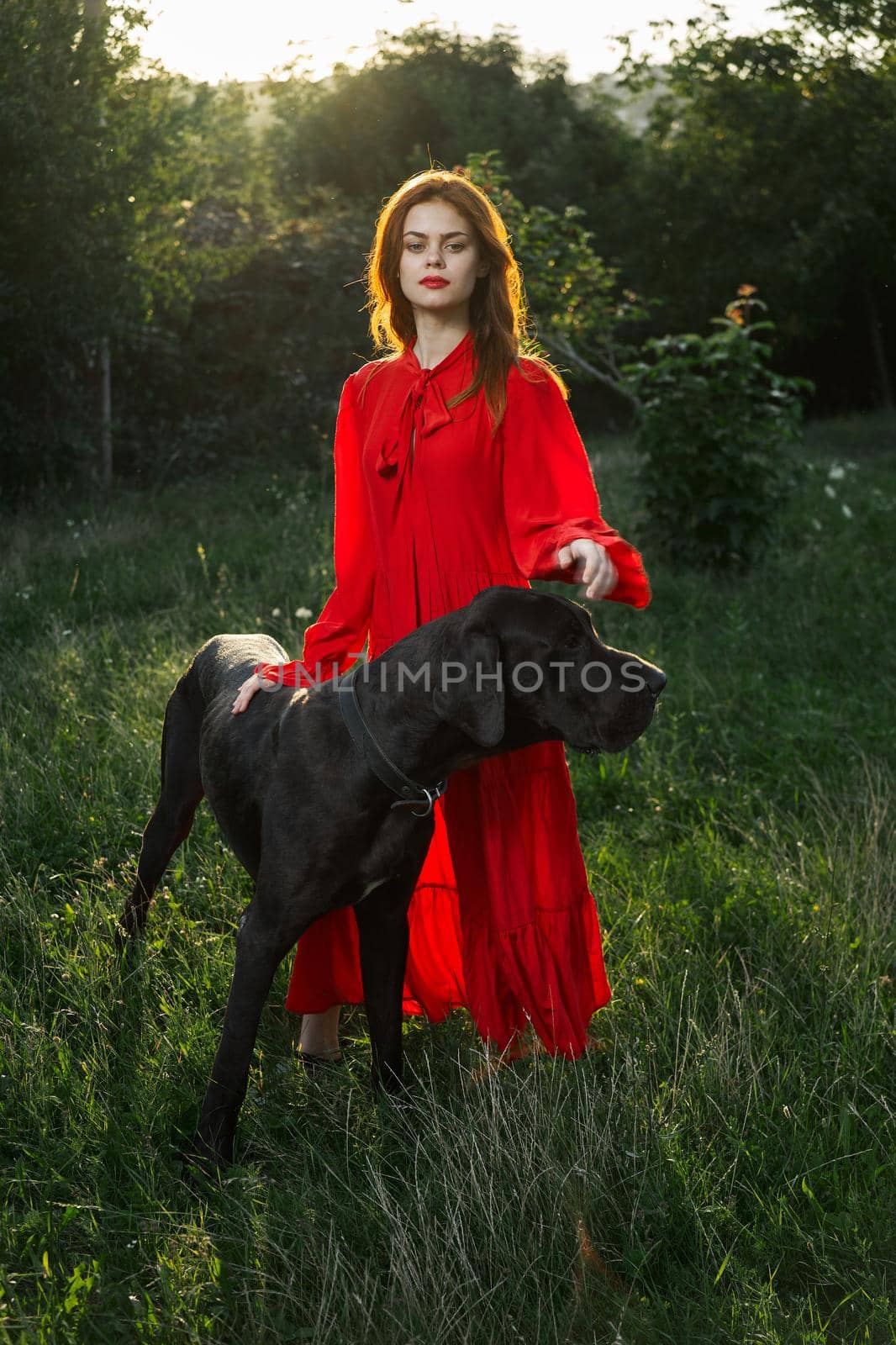 woman in a red dress in a field with a black dog Friendship fun. High quality photo