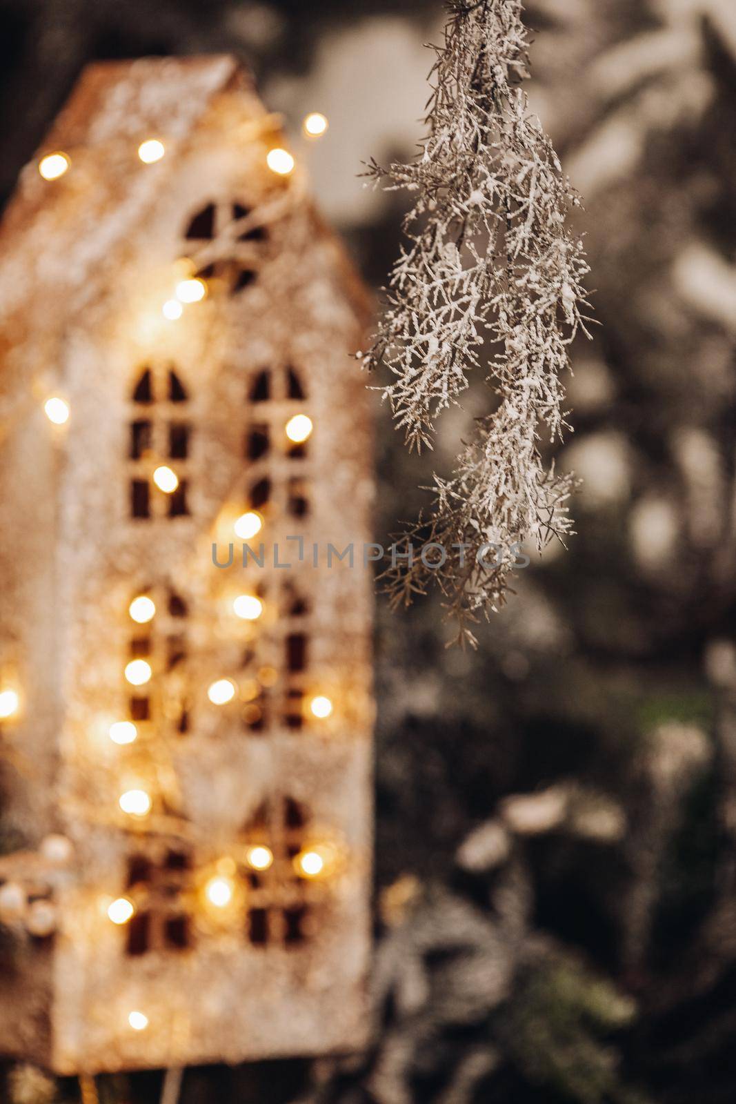 Christmas tree twig hanging from above with a toy house behind by StudioLucky