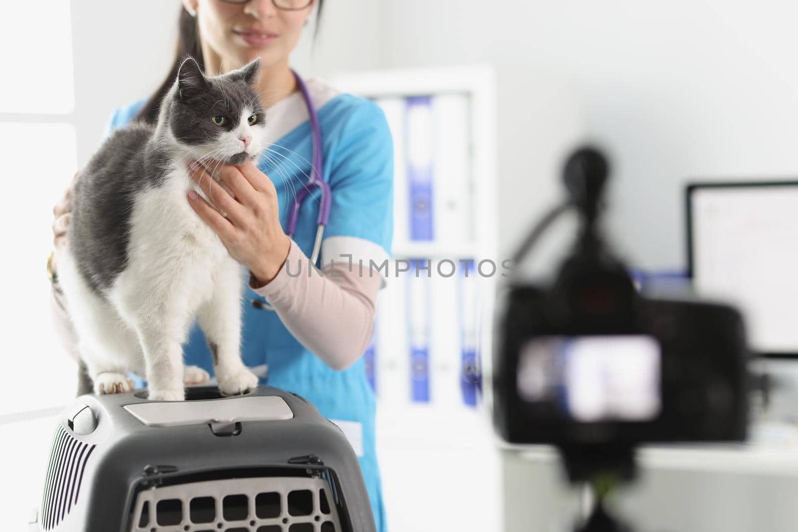 Portrait of young woman doctor present grey cat on camera, petting him for video. Prepare for animal exhibition, live show. Veterinary, care, help concept