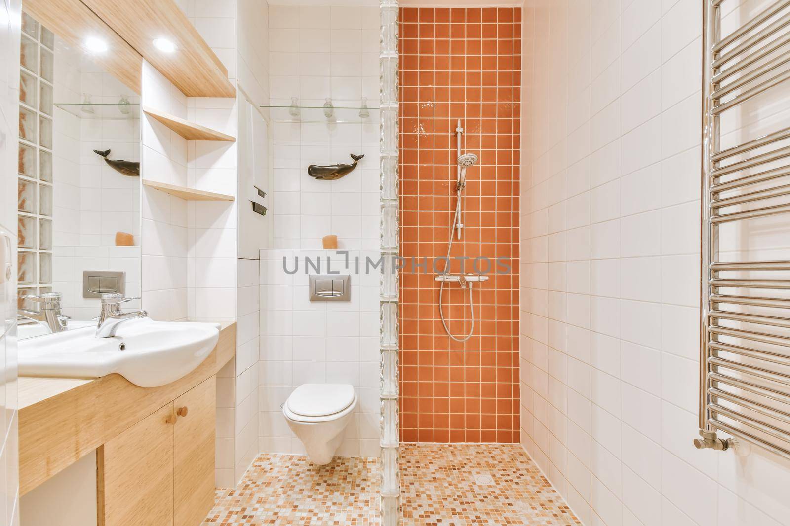 Interior of contemporary bathroom with shower and sink in minimal style in flat
